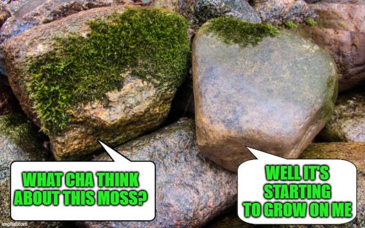 Moss meme